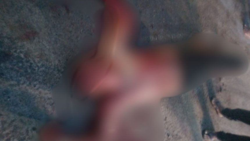 Mulher é presa após matar marido a facadas no Amazonas