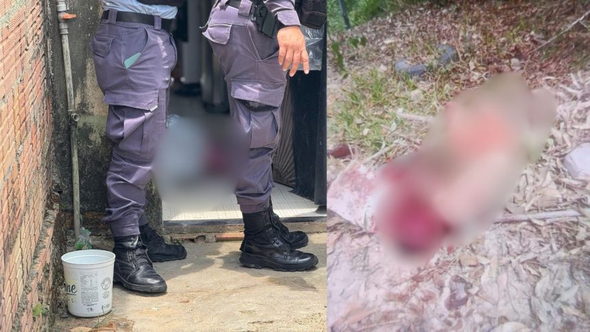 Filho suspeito de matar mãe a facadas é espancado até a morte em Manaus