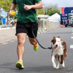 Primeira corrida pet de Manaus alia esporte, lazer e saúde