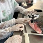 Evento levará aprendizado em aquicultura e sustentabilidade à Presidente Figueiredo