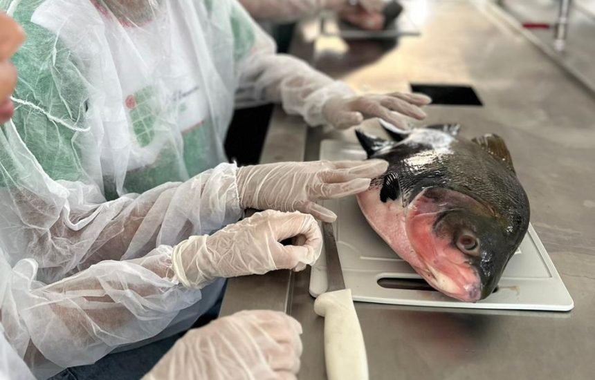 Evento levará aprendizado em aquicultura e sustentabilidade à Presidente Figueiredo