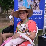 Castração e vacinação de cães e gatos chega ao Grande Vitória nesta sexta (31)