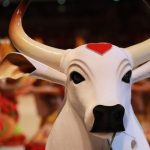 Boi Garantido, com chifres e coração vermelho, em evento. Detalhe de rosto.