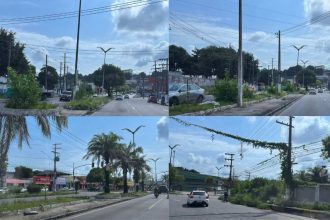Canteiros centrais abandonados em Manaus, com vegetação e lixo acumulados.