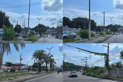 Canteiros centrais abandonados em Manaus, com vegetação e lixo acumulados.