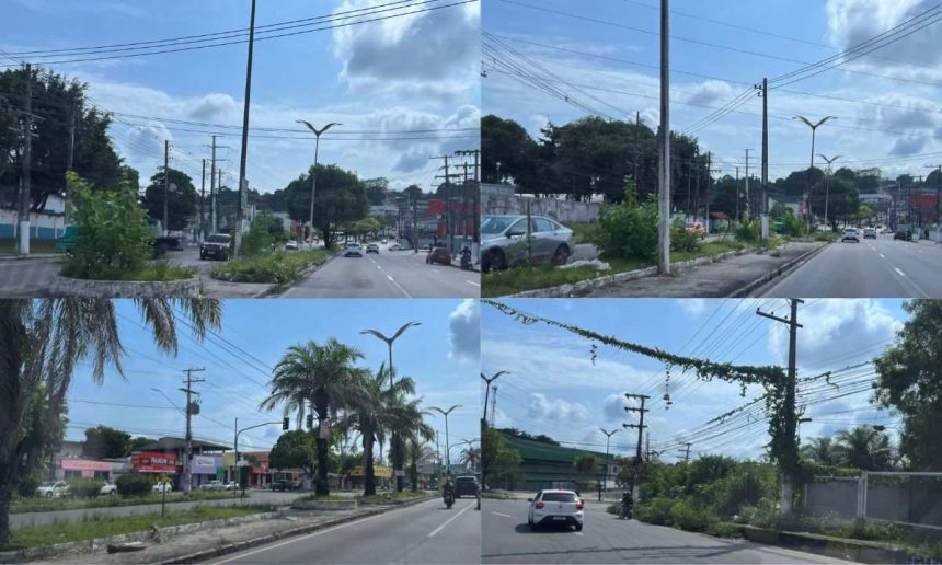 Canteiros centrais abandonados em Manaus, com vegetação e lixo acumulados.
