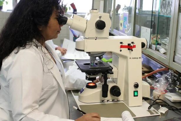 Cientista analisando amostra em microscópio no laboratório.