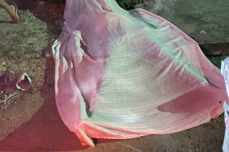 Corpo coberto em cena de crime.