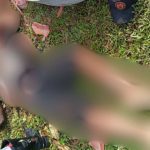 Corpo de homem em área de mata, possivelmente vítima de violência.