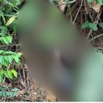 Corpo em decomposição encontrado em barranco na BR-174, em meio à vegetação densa.