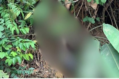 Corpo em decomposição encontrado em barranco na BR-174, em meio à vegetação densa.