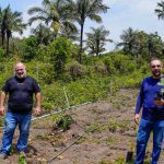 Dois homens plantando árvores em Manaus, em compensação de emissões de carbono.