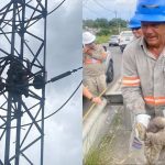 Equipe de eletricistas resgata bicho-preguiça em linha de transmissão após queda de energia em Manaus.