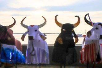 Esculturas de bois-bumbá em evento cultural em Manaus, comemorando 356 anos da cidade.