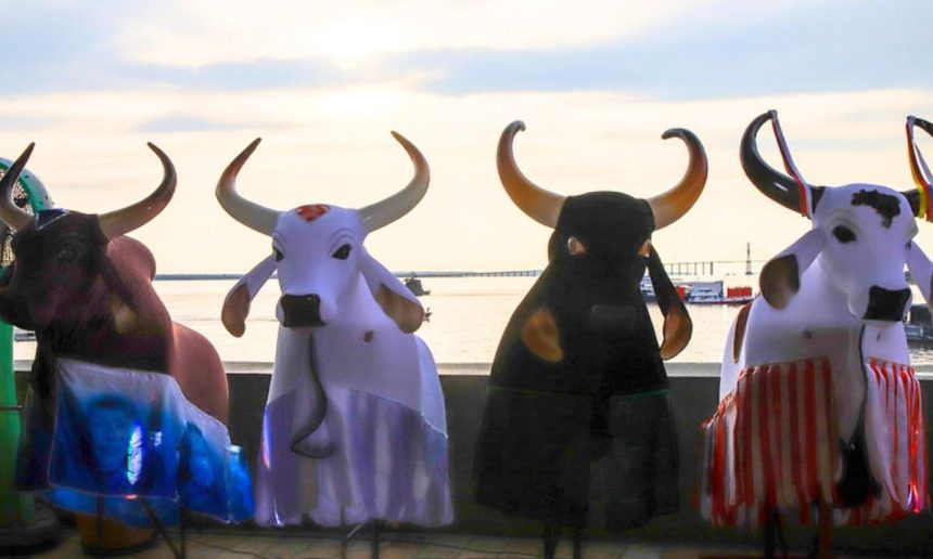 Esculturas de bois-bumbá em evento cultural em Manaus, comemorando 356 anos da cidade.