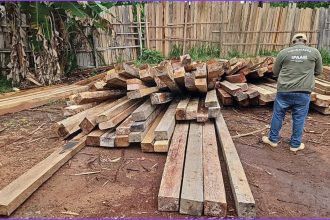 Fiscalização ambiental em área com toras de madeira apreendidas, com fiscal observando.