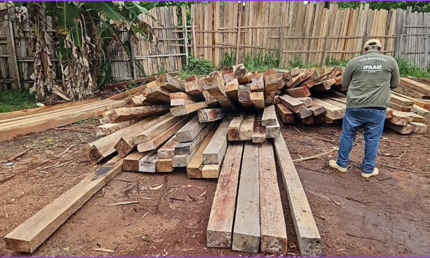 Fiscalização ambiental em área com toras de madeira apreendidas, com fiscal observando.