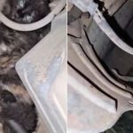 Gatinho escondido no motor de um carro, com destaque para seus olhos