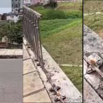 Gradil histórico próximo ao Palácio Rio Negro em Manaus com sinais de furto.