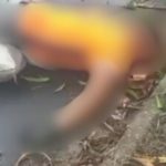 Homem ferido no chão após cair de árvore em Manaus