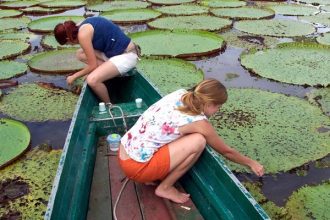 Pós-graduação em Botânica do Inpa abre seleção para 20 vagas