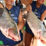 Novembro terá edição especial do Feirão do Pescado em Manaus