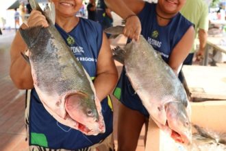 Novembro terá edição especial do Feirão do Pescado em Manaus