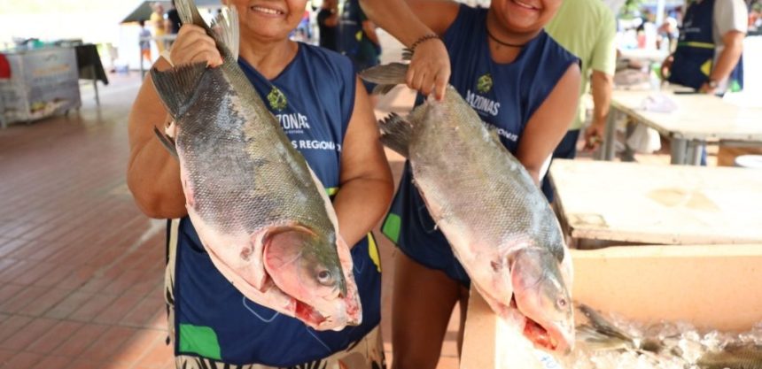 Novembro terá edição especial do Feirão do Pescado em Manaus