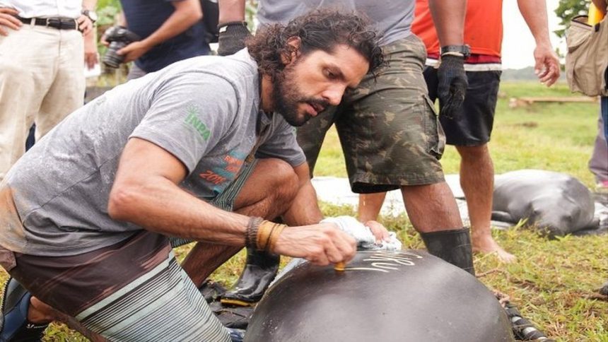 Pós-graduação em Ecologia do Inpa abre inscrições