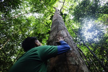 Inpa abre inscrições para mestrado em agricultura no trópico úmido