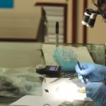 Última chance para inscrição no mestrado em Entomologia do Inpa