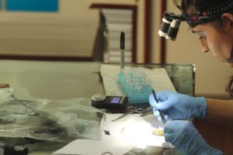 Última chance para inscrição no mestrado em Entomologia do Inpa