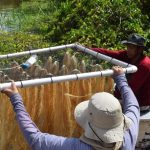 Inscrições abertas para mestrado em Ciências Biológicas do Inpa