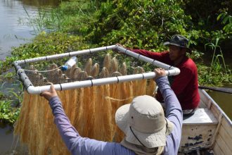 Inscrições abertas para mestrado em Ciências Biológicas do Inpa