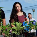 Mulher escolhendo mudas de plantas em evento de distribuição.