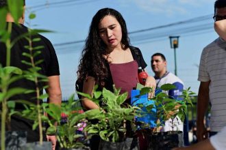 Mulher escolhendo mudas de plantas em evento de distribuição.