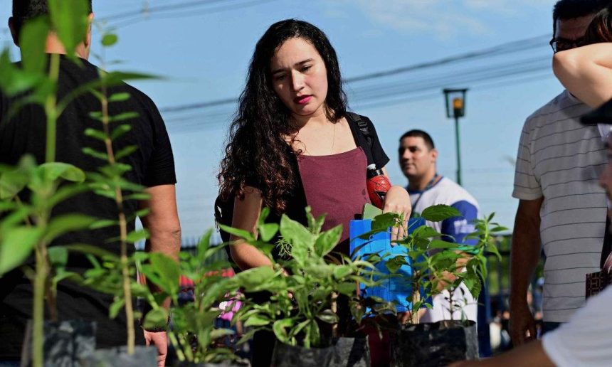 Mulher escolhendo mudas de plantas em evento de distribuição.
