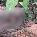 Ossada humana em mata na Zona Rural de Manaus.