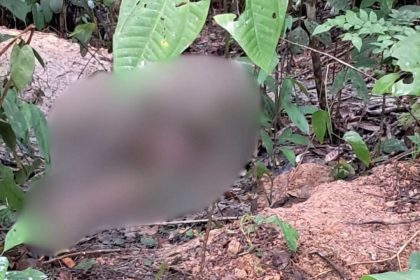 Ossada humana em mata na Zona Rural de Manaus.