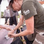 Pesquisadores do INPA trabalham em biologia aquática, com foco em pesquisa de campo.