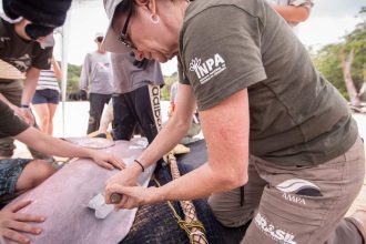 Pesquisadores do INPA trabalham em biologia aquática, com foco em pesquisa de campo.
