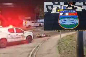 Polícia Militar do Amazonas apreende armas e prende suspeito após perseguição.