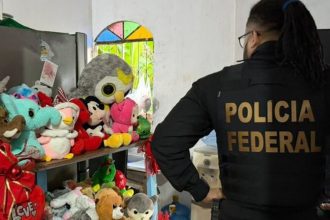 Policial Federal em operação com apreensão de brinquedos.