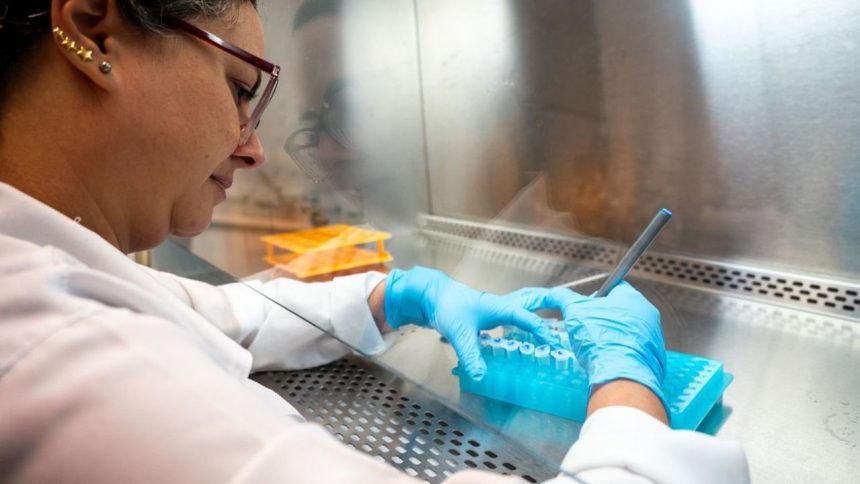 Técnica em laboratório utilizando pipeta em tubos de ensaio.