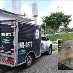 Veículo do IML em cena de crime em Manaus, com corpo no chão e viatura policial.