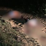 Dois homens são mortos com 15 tiros em ramal no Brasileirinho