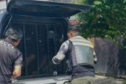 Policial se passa por mototaxista e prende homem que ameaçava a mãe em Manaus