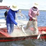 Entrevistas para acesso ao Seguro-Defeso começam nesta segunda no Amazonas