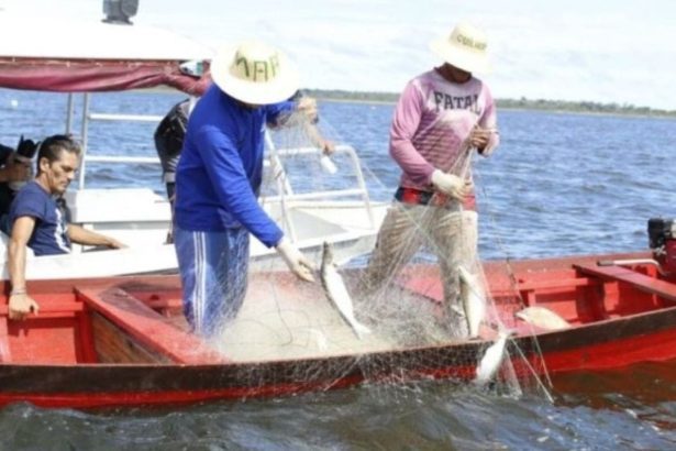 Entrevistas para acesso ao Seguro-Defeso começam nesta segunda no Amazonas