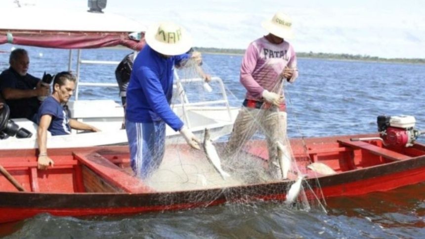 Entrevistas para acesso ao Seguro-Defeso começam nesta segunda no Amazonas